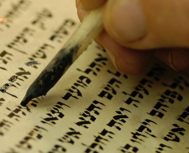 Torah scribe